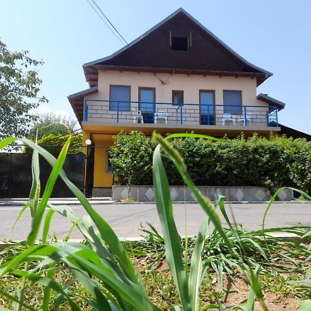 Pensiunea Lyo Două Mai Exterior foto