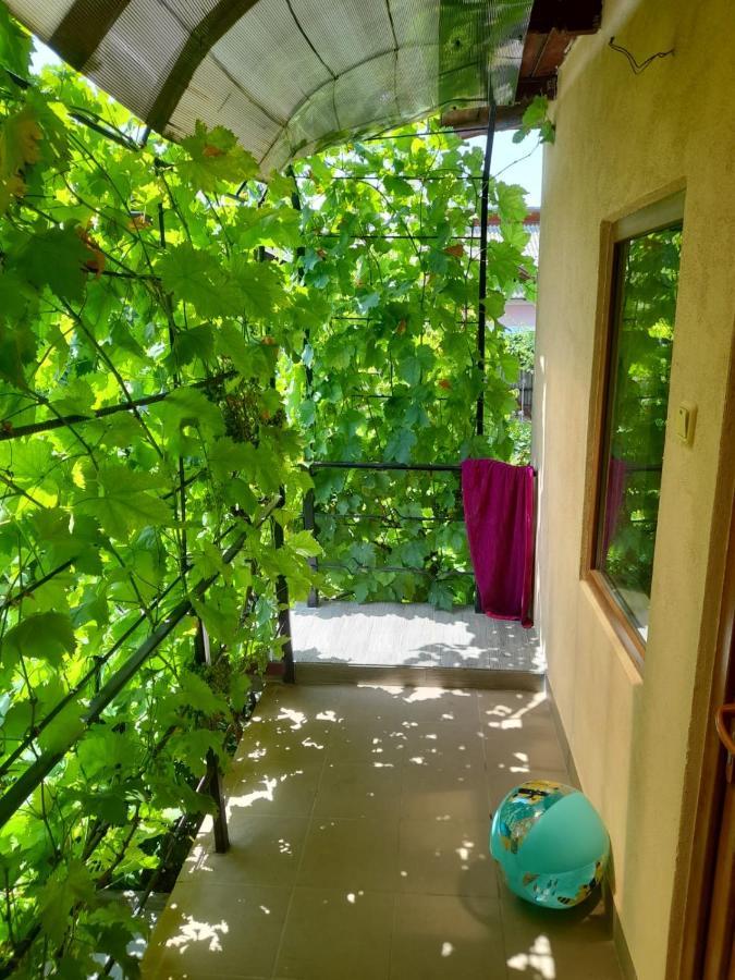 Pensiunea Lyo Două Mai Exterior foto