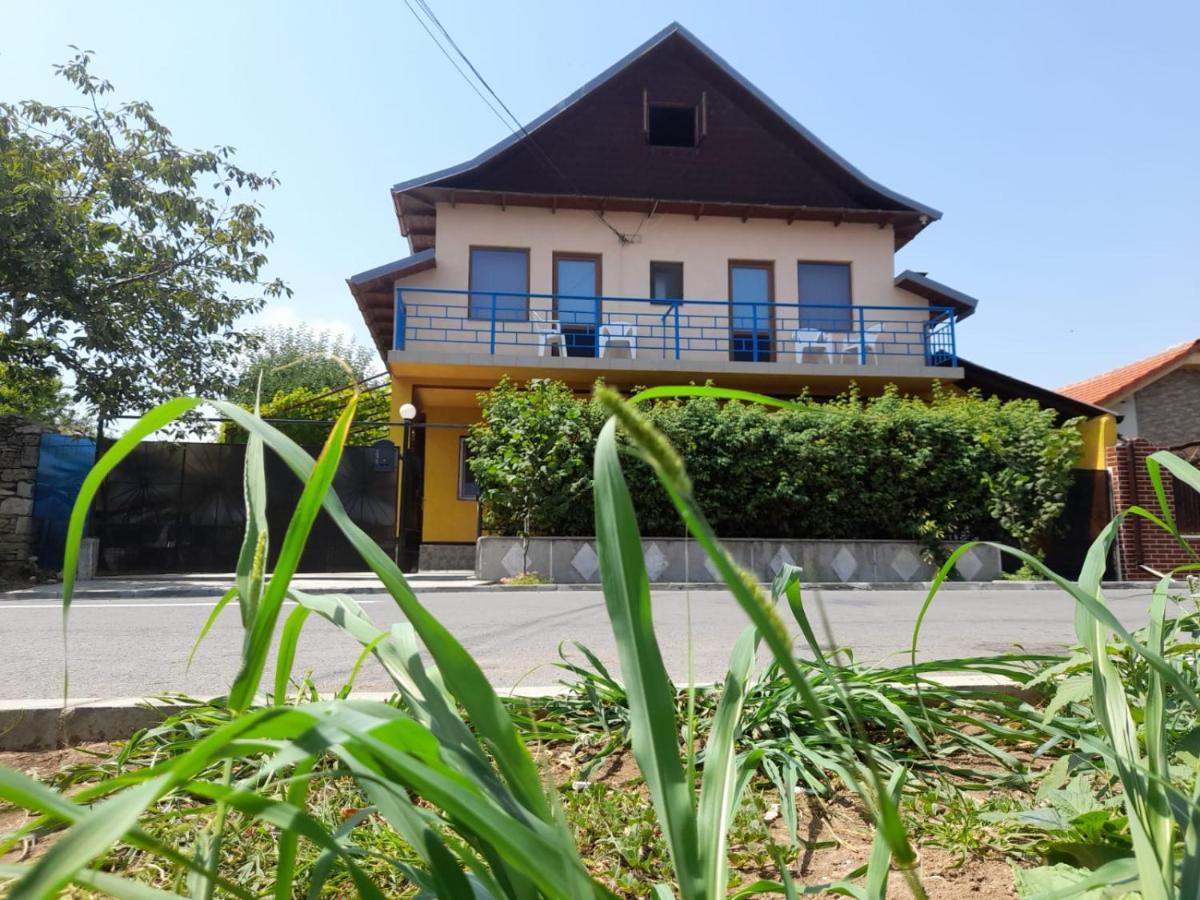 Pensiunea Lyo Două Mai Exterior foto