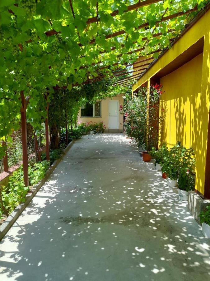 Pensiunea Lyo Două Mai Exterior foto
