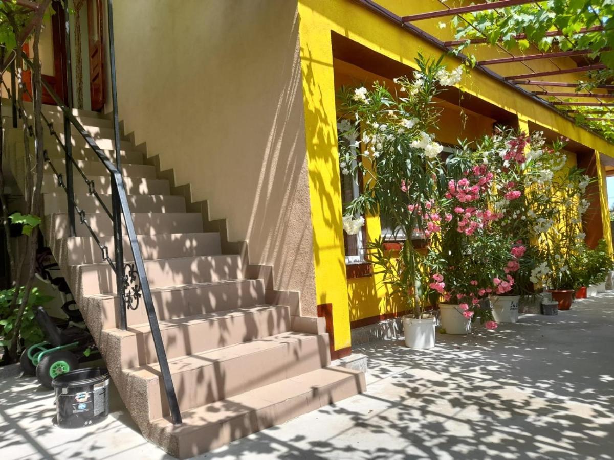 Pensiunea Lyo Două Mai Exterior foto
