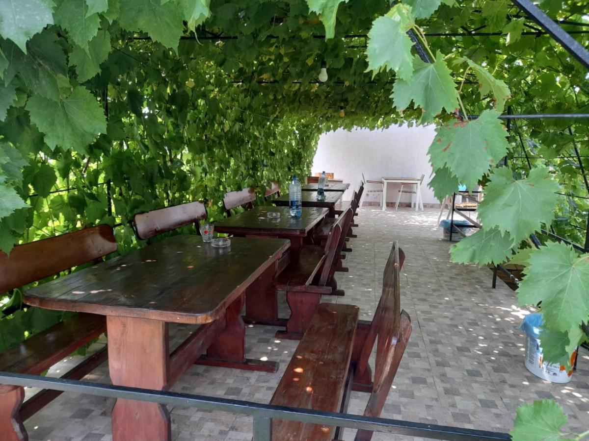 Pensiunea Lyo Două Mai Exterior foto