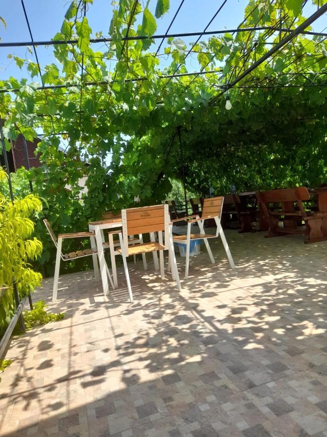 Pensiunea Lyo Două Mai Exterior foto